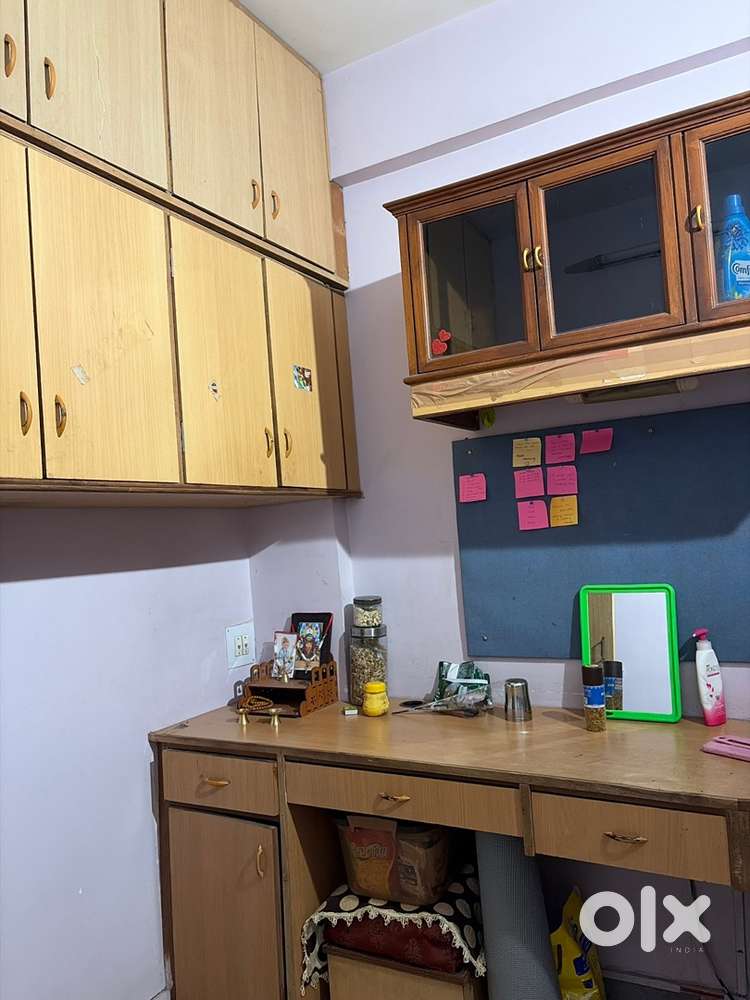 Girl flatmate (1) veg only