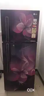 LG fridge 4 star dual converter, inverter