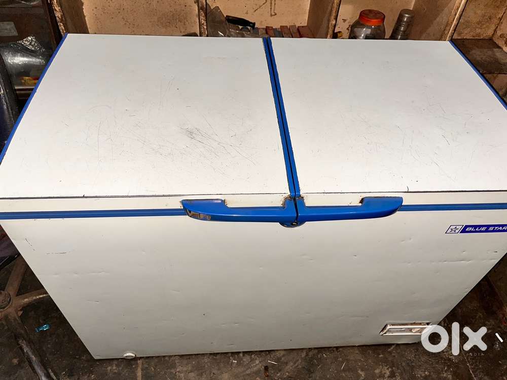 Blue Star Deep Freezer