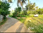 50 CENT ORGINAL LAND IN ALUVA U.C  COLLEGE NEAR KARUMALLUR