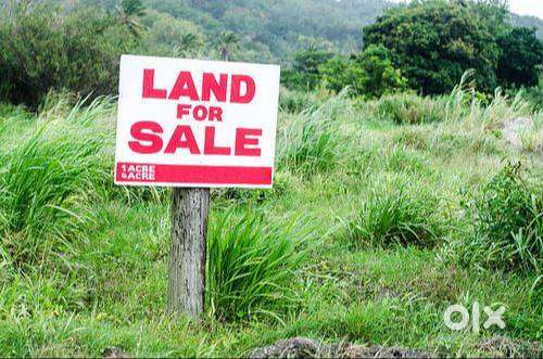 Land for sale... low price... Developed area... 200 mtrs from NH 16
