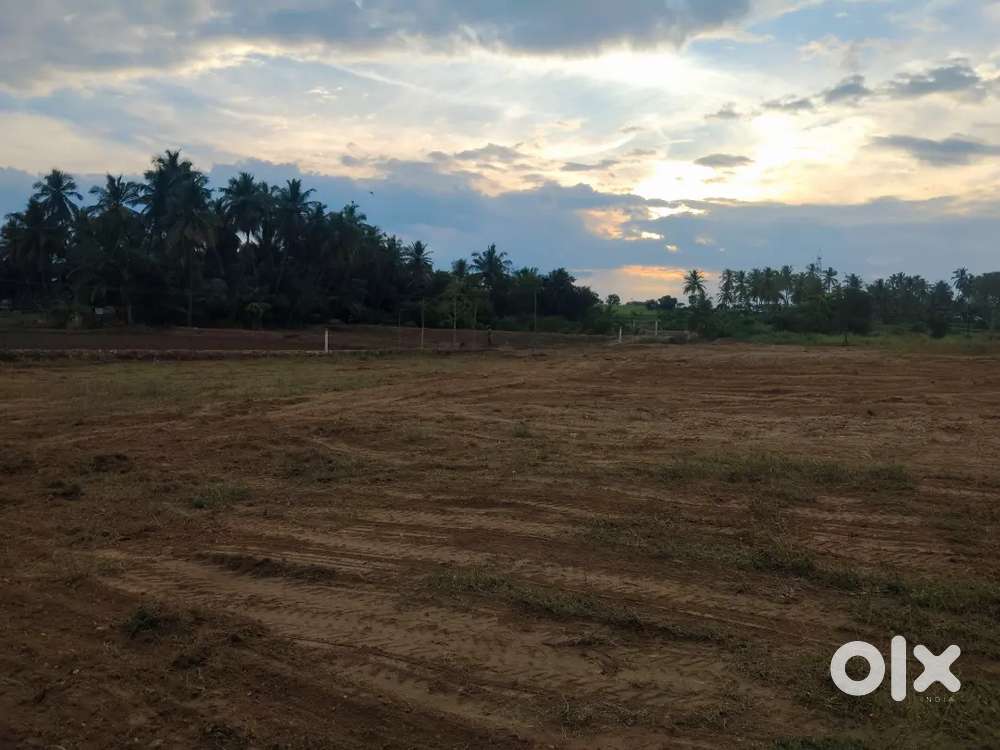 DRY AGRI LAND FOR SALE IN ANNUR