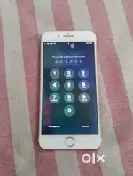 Iphone 7 plus