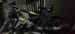 1 year old cycle