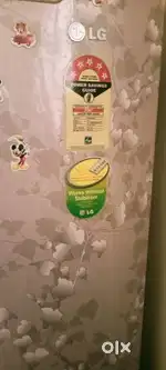 LG company fridge