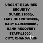All Security Guard job chandigarh 10