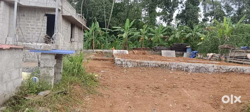 Angamaly Karayamparabu nyer 4,5,6,8, 10 cent plots available