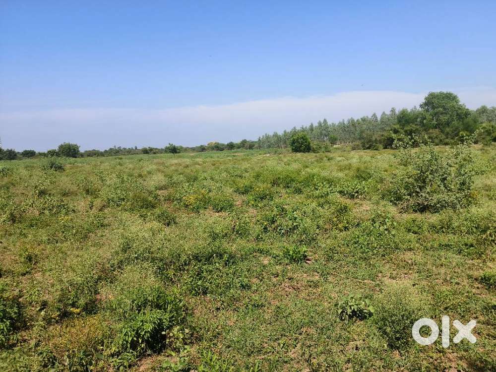 Warehouse for Business Use