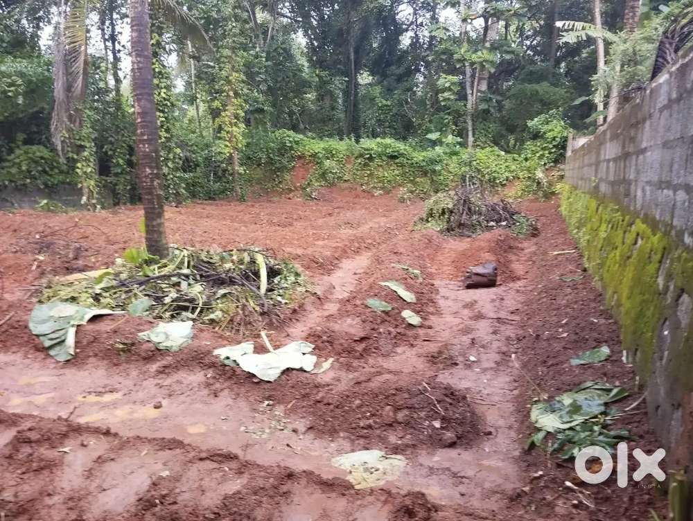 8 cent plot with 12 feet road arimpur kaipilly road