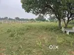 Farm land for sale Near vallam