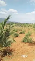 Land for sale, Near Kodai Road