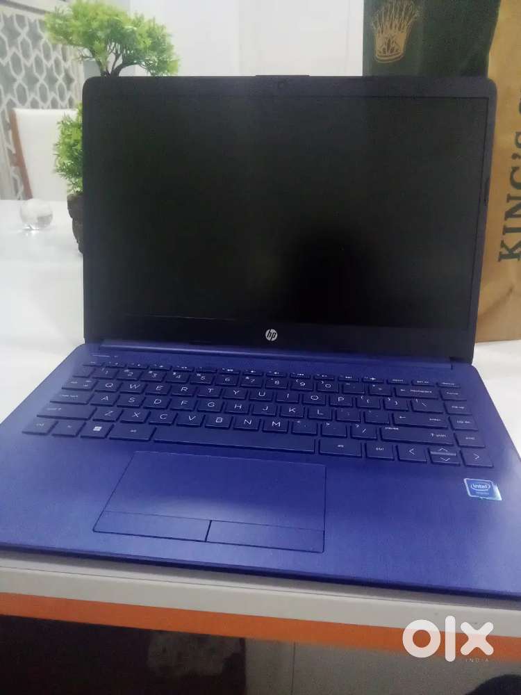 HP brand new laptop
