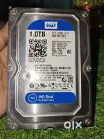 1 tb WD Blue hard drive in 1299 rs