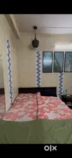 Need a girl room mate