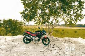 Perfectly Maintained Pulsar 150