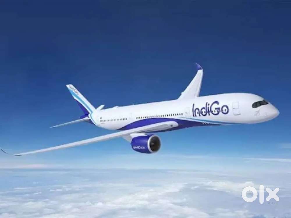 Requirement For Fresher Male, Female Both Candidate Jobs In IndiGo