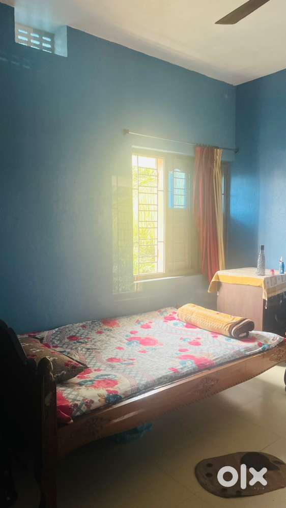 Female Roommate needed