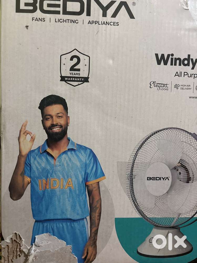 Winday-12 fan