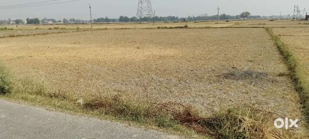 18 biswa hai 7 biswa sell krna hai urgent hai