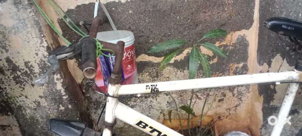 Cycle A1 condition best for daily using