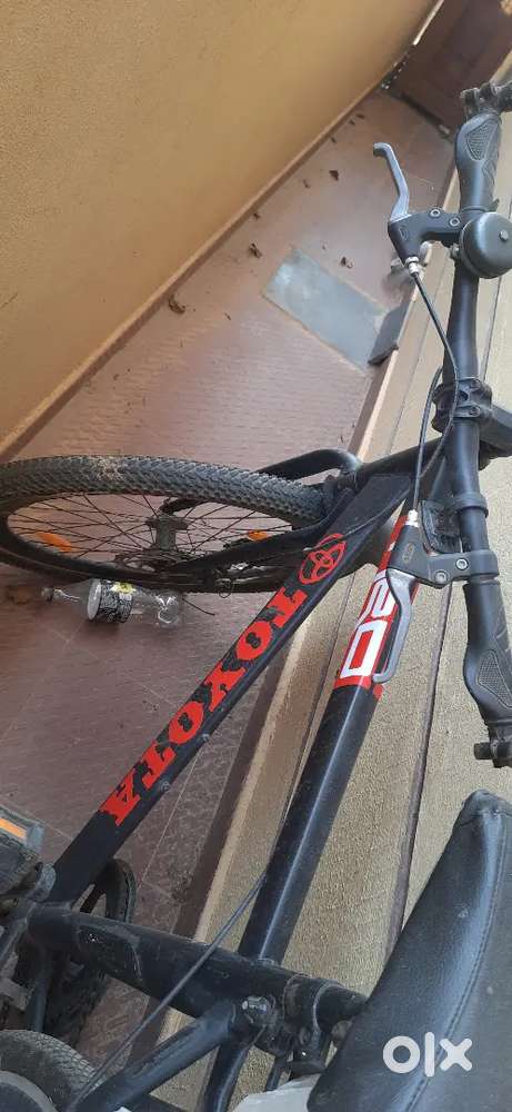 Gang Adult cycle for sale( Dual disc brake)