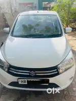 Maruti Suzuki Celerio 2019 CNG & Hybrids Good Condition