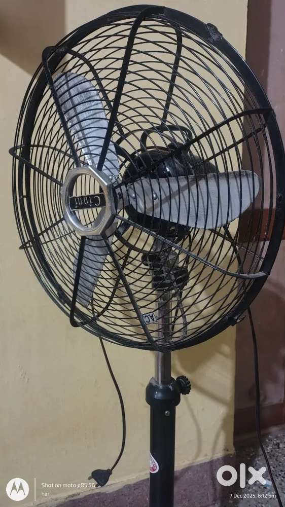 Fan for sale
