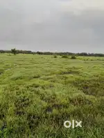 9 acers (360 guntha) plot sell in Pawas Nirool Ratnagiri