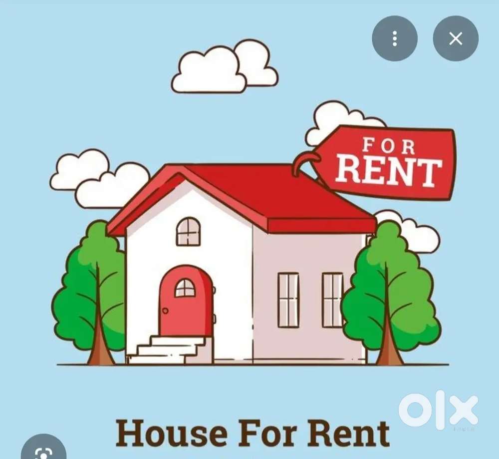 Bilaspur 27 kholi vikas nagar