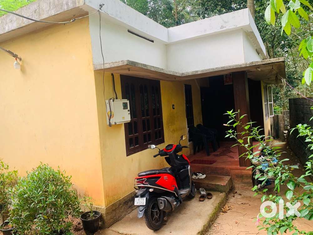 Immediate sale ,6 cent with house
