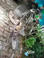 2 bicycles. 1 ladies & 1 gents cycle.