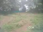 Mangad bypass 500mtr 6.5,4.75cent plots for sale