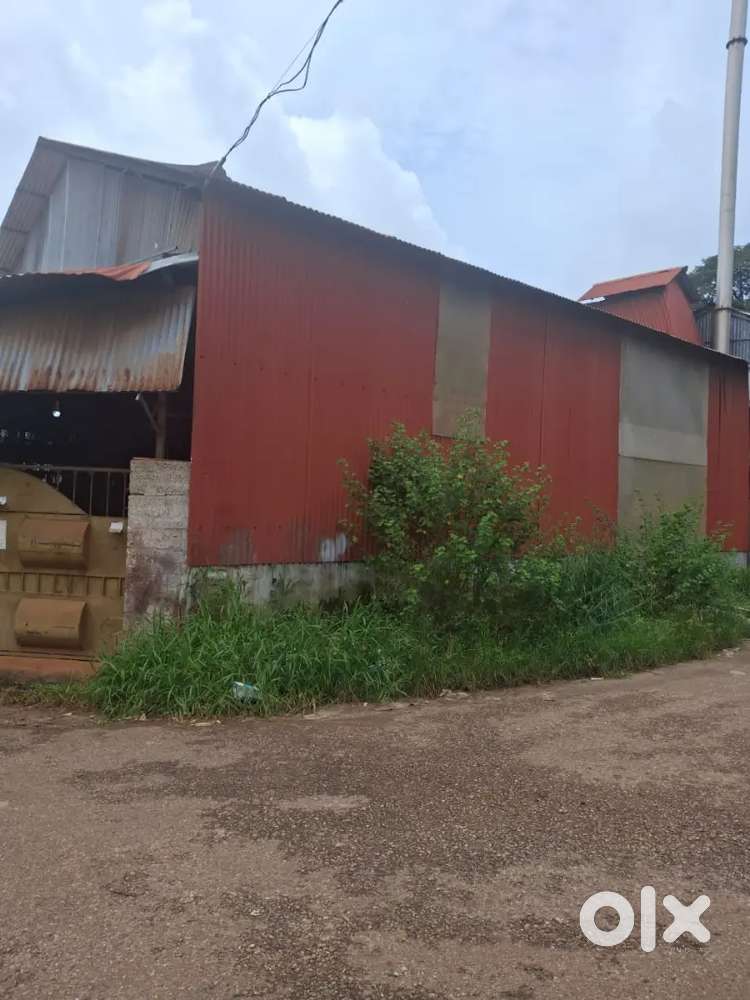 Commercial property for sale including shed