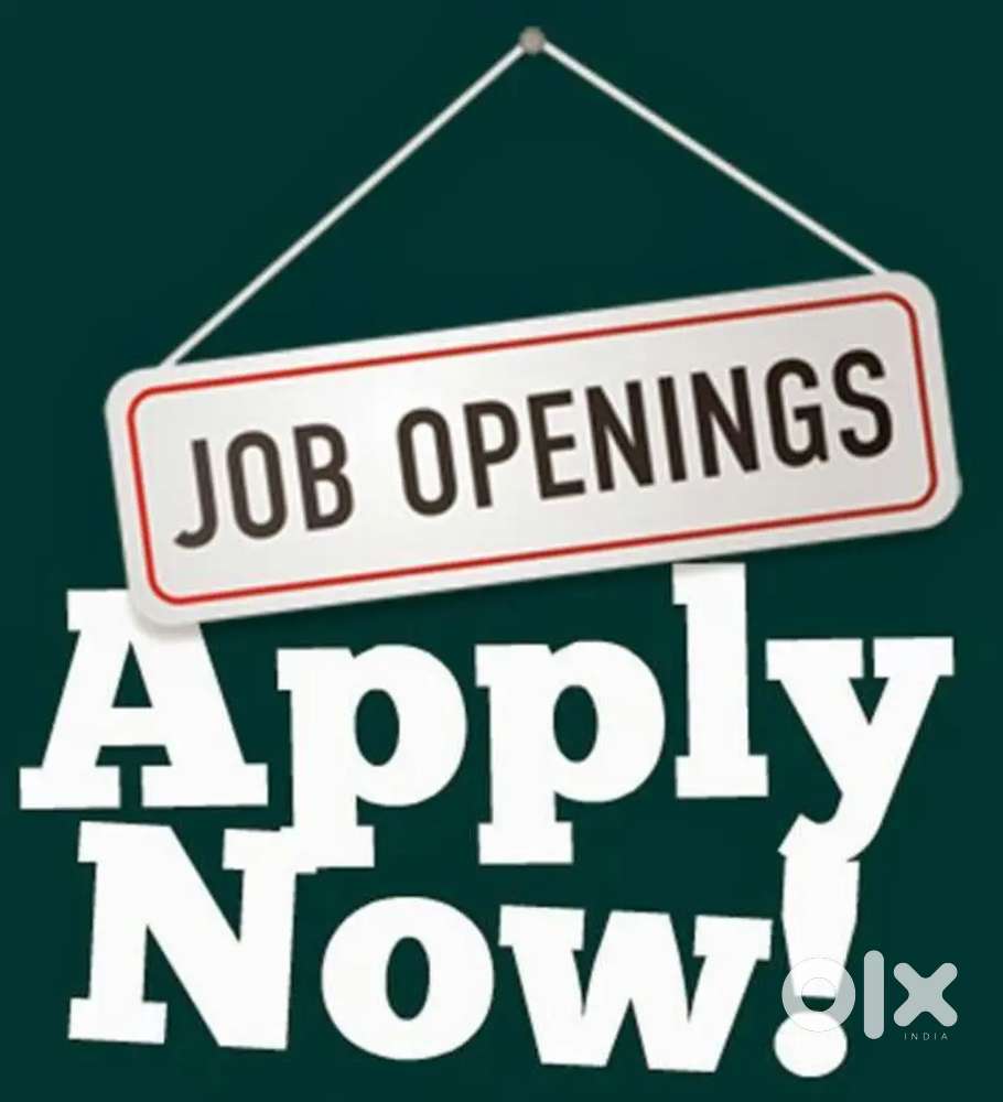 Tele calling, office assistant, team leader, documents handling