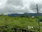Mountain view plot