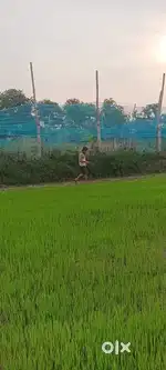 27 biswa land at nigohan toll plaza on Lucknow raebareli highway
