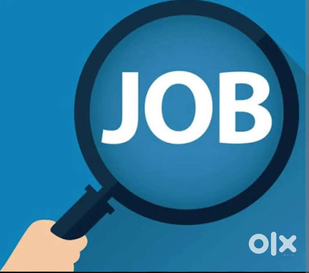 Looking for a driver for 4 hours