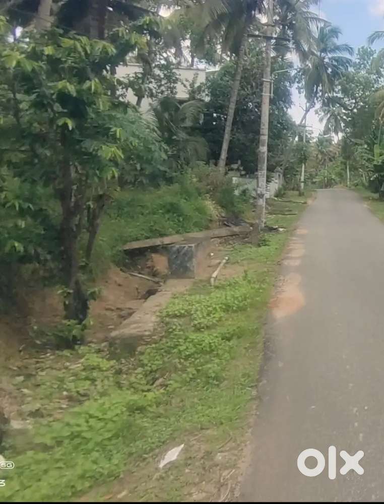 33 cent land sale in Pazhavilai