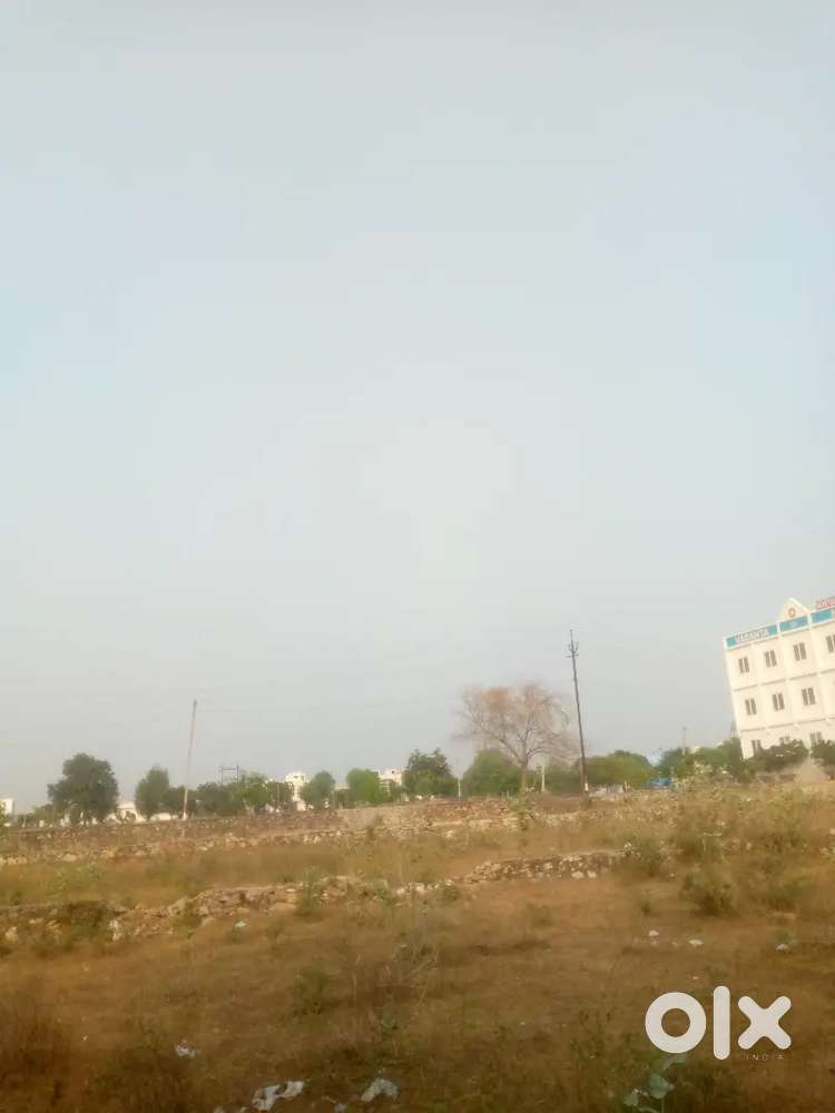 सर्सिंहपुरा, जोबनेर में प्लॉट अर्जेंट सेल करना है।