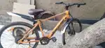 Electric cycle
