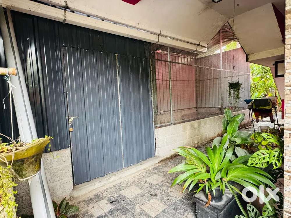 Mandi preparing facility included