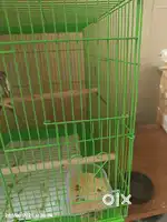 Pet Cage large size