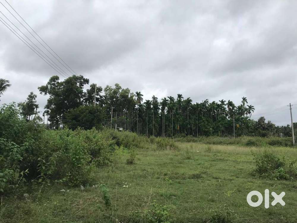 Site for sale
