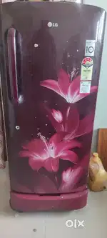 LG Refrigerator 215 Ltrs Single Door