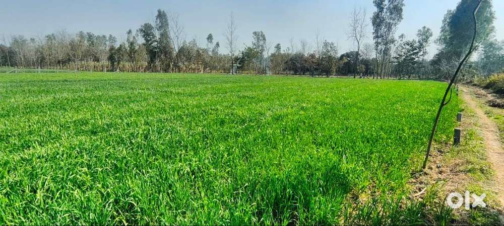 Direct owner 4 bigha land for sale