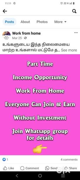 Work from home, without investment