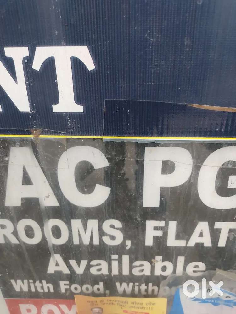 Pg k liye cook chahiye