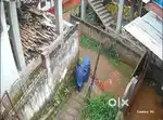 Assam type House, 3 Bed Room,1Hall Room, 1 Kitchen, 1Bathrom, 2 Latrin