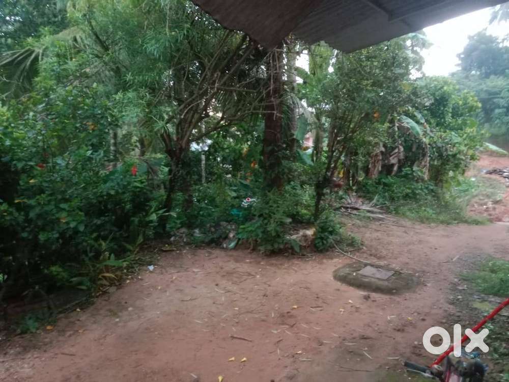 Land for immediate sale