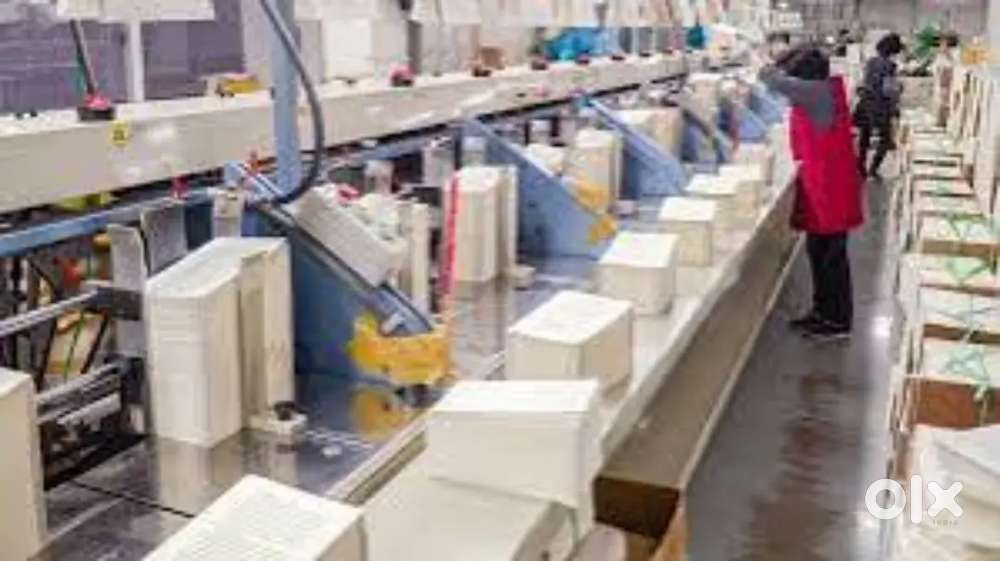 Wanted male helpers With food and accomdation